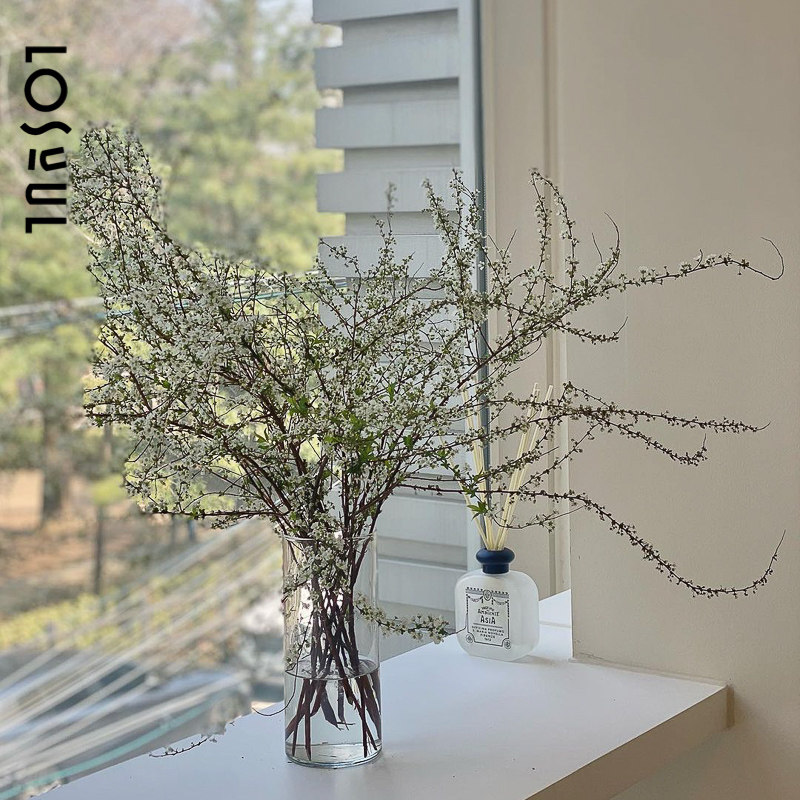 小手球A级雪柳鲜花带花苞鲜枝新年装饰家用插花花期长重瓣单瓣,淘宝优惠券,粉丝福利购,淘宝优惠卷