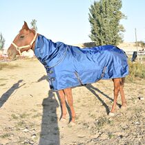 Detachable equestrian items windproof and rain-proof thickened outdoor horse warm winter cotton horse with clothes custom girdwear