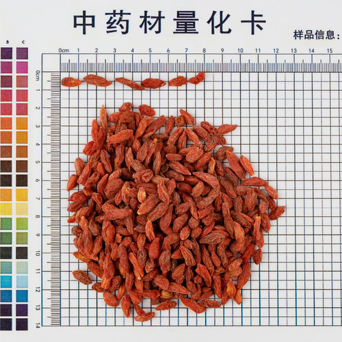 金贵枸杞子中药饮片500g独立包装九州通饮片宁夏中宁秋冬养生茶 - 图0