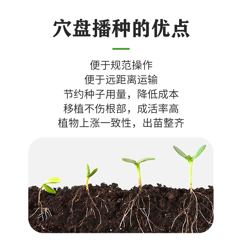 育苗盘育苗盆穴盘塑料杯种植神器营养钵蔬菜育种扦插盒农用托盘盆-图0