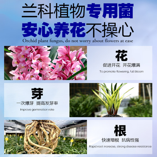 兰灵王正品通用型营养液微生物菌剂绿植花卉抗病活根保花病害预防 - 图1