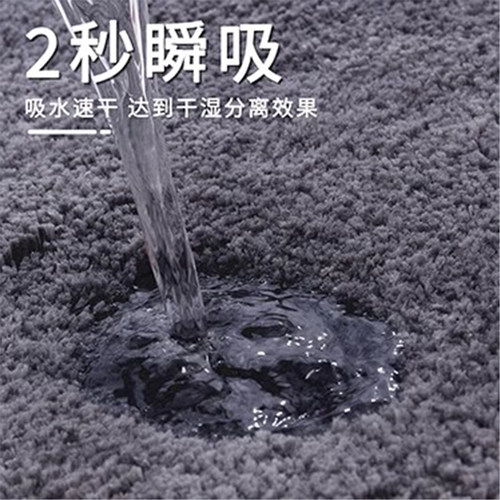 卫生间地垫吸水浴室防滑脚垫子厕所门口卧室地毯卫浴家用厨房门垫 - 图3