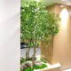 Simulated horse drunken wood, artificial tree, bionic green plant decoration