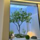 Simulated horse drunken wood, artificial tree, bionic green plant decoration