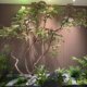 Simulated chicken claw maple, fake maple tree, bionic plant landscaping
