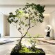 Simulated horseshoe wood, artificial trees, landscaping decoration, bionic green plants