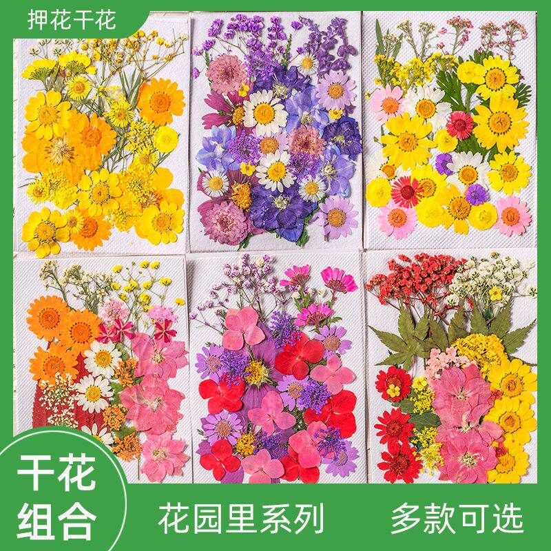 干花diy材料花材包押花包儿童手工植物标本滴胶压花贴画花瓣妆包