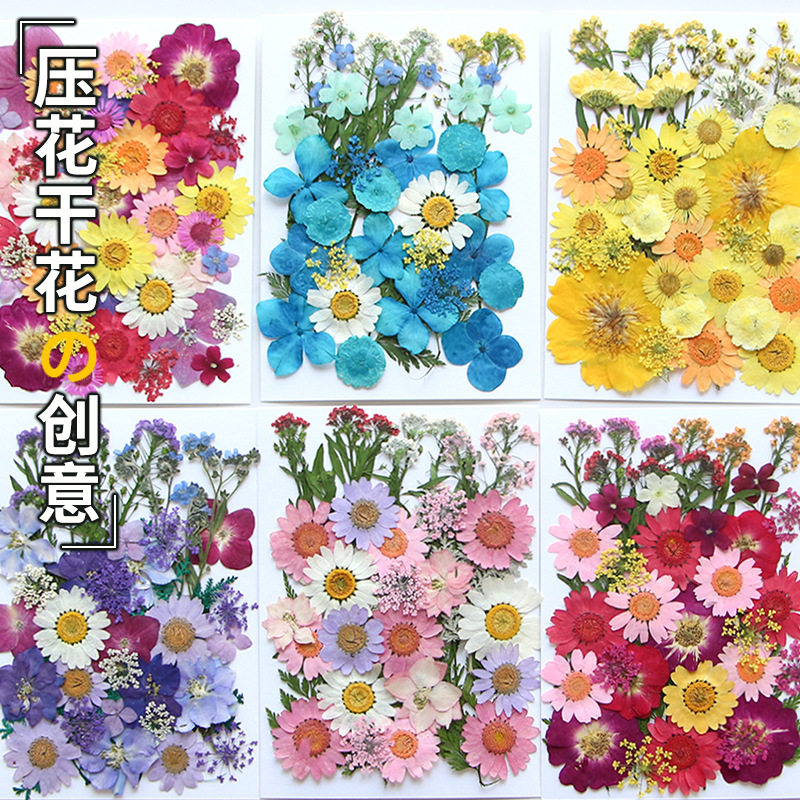 干花diy材料花材包押花包儿童手工植物标本滴胶压花贴画花瓣妆包
