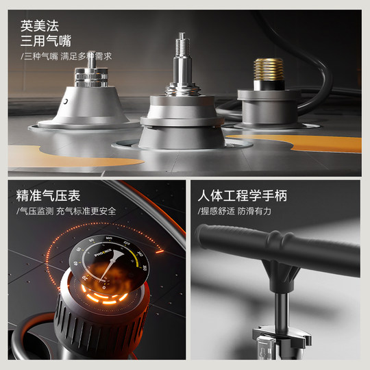 Phoenix bicycle pump