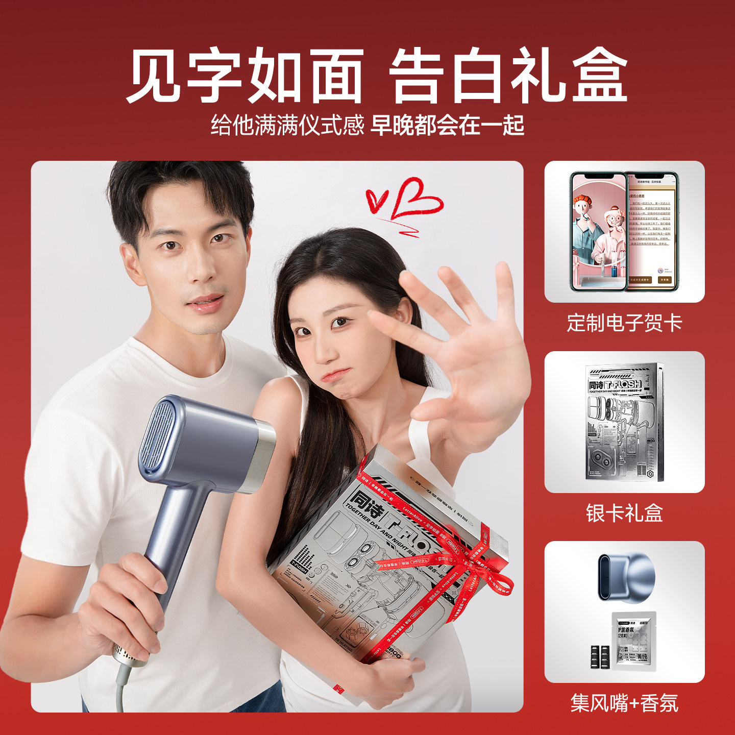 同诗艾齐双筒高速吹风机家用等离子护发速干大风力电吹风筒礼物F8