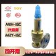 Liteyong One Guarantee One Safety Valve Pressure Relief Valve A42Y