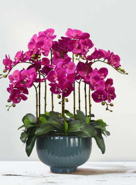 仿真花蝴蝶兰高档手感兰花摆件