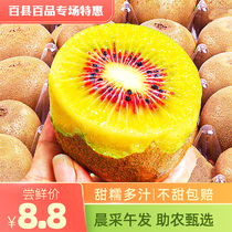 Sichuan Wangpale County Red Heart goosebumps 24 Kiwi Fruits Fresh season Pregnant Women Fruits Pujiang Mikey Peach Big Fruits