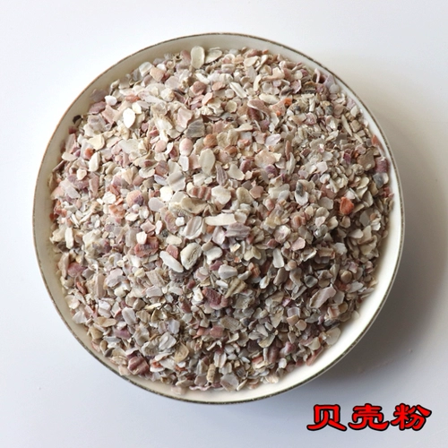 Птица раковина порошок порошок курицы корм для курицы курица едят яйца, кальций и кальциево -раковина раковина раковина раковина голубь