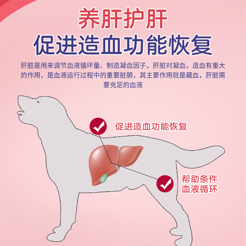 柴犬专用补血肝精狗狗术后补血补铁狗妈妈产后哺乳期贫血吃营养品-图2