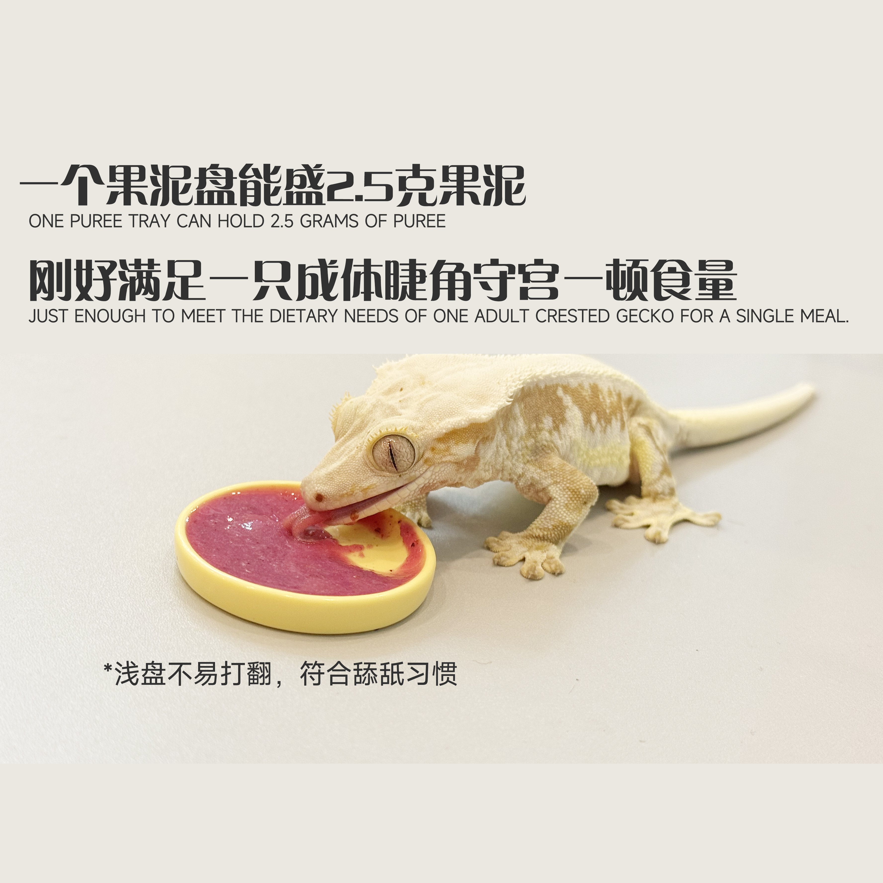 爬宠食盆果泥盘食碟碗睫角守宫蜥蜴盖勾亚R属亚成体及成体适用,淘宝优惠券,粉丝福利购,淘宝优惠卷