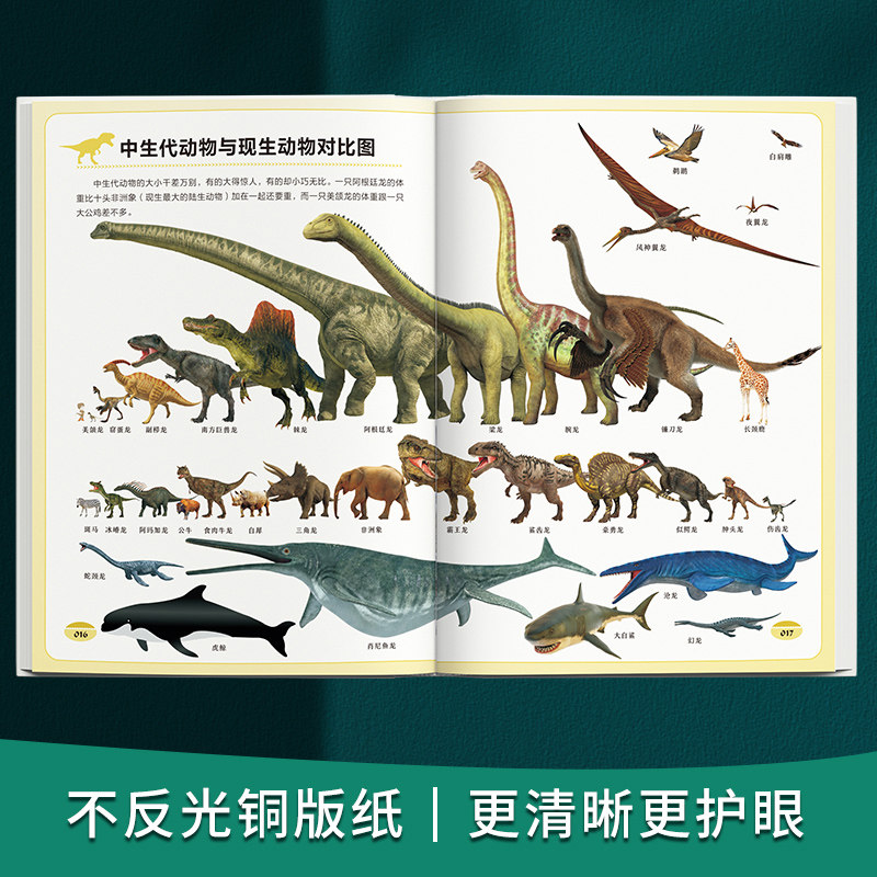 恐龙有话说：给孩子的一本恐龙百科中科院中国古动物馆出品 影视级科学制图 创新的故事化趣味表达 儿童恐龙科普读物