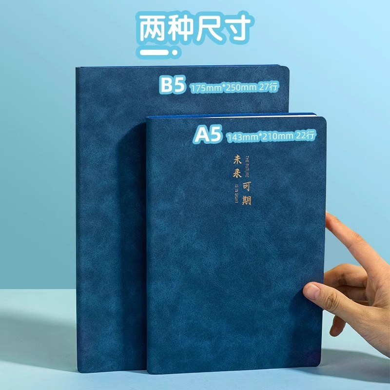 得力笔记本子羊巴皮记事本a5软皮商务办公会议记录本皮面本b5加厚工作笔记本复古皮面简约文艺随身日记本
