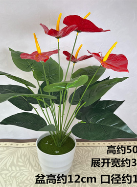 仿真花18头大红掌大绿植叶龟背叶仿真叶子花盆盆景盆栽塑料花装饰