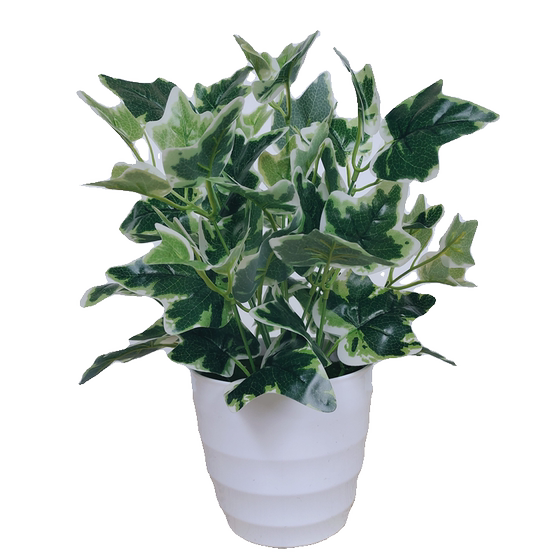 Simulated potted plants, fake green plants, simulated flowers, Internet cafes, hotel clubs, living rooms, office decorations, flowers