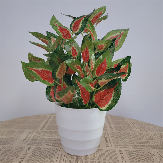 Simulated potted plants, fake green plants, simulated flowers, Internet cafes, hotel clubs, living rooms, office decorations, flowers