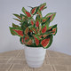 Simulated potted plants, fake green plants, simulated flowers, Internet cafes, hotel clubs, living rooms, office decorations, flowers