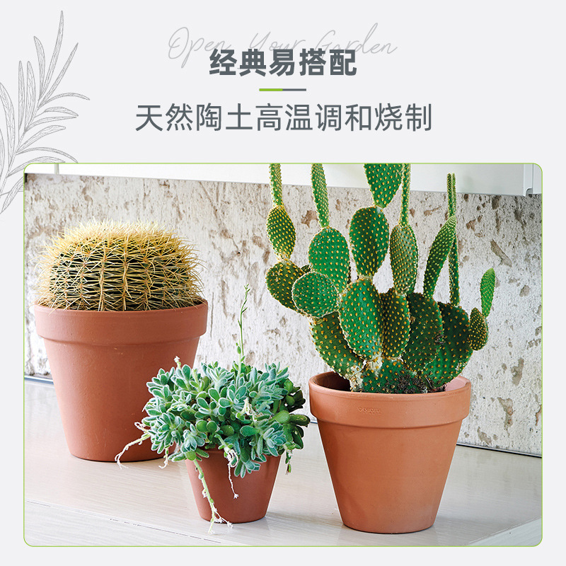 帝罗马deroma陶盆国际盆红陶透气组合多肉月季花兰花盆陶土盆网红