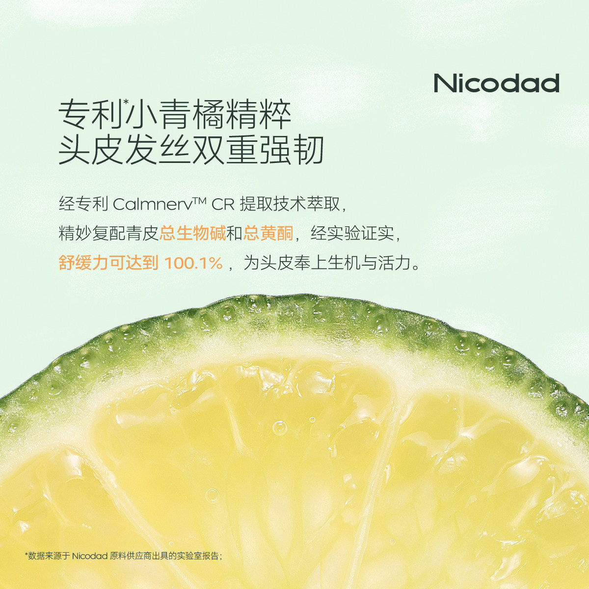 Nicodad尼可爸爸婴儿洗发水补充装泡泡新生幼儿宝宝专用洗头液,淘宝优惠券,粉丝福利购,淘宝优惠卷