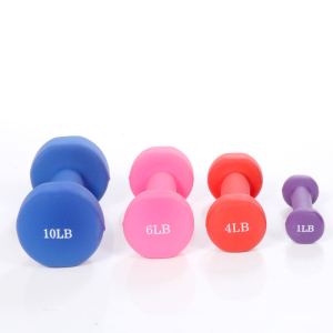 家用健身通用小哑铃2KG 