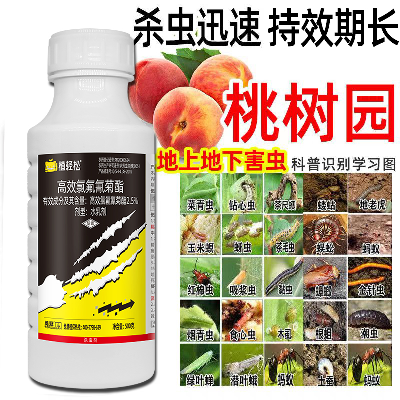 桃树专用药高效氯氟氰菊酯杀虫剂蚜虫蜜虫食心虫青虫果树农药大全 - 图0