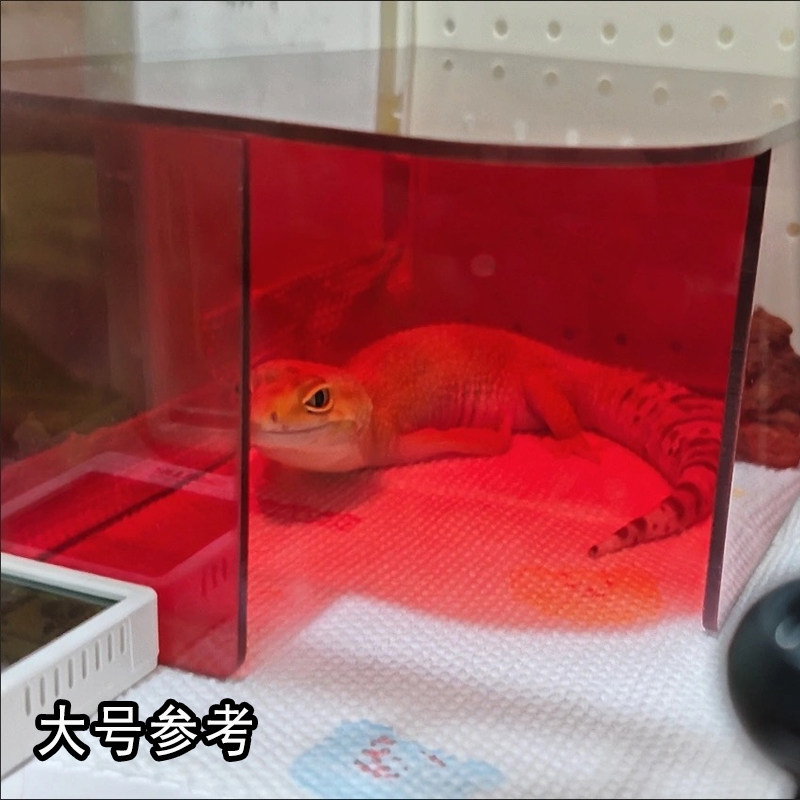 亚克力五面可观赏地栖爬宠躲避屋高颜值深红守宫窝观察造景屋,淘宝优惠券,粉丝福利购,淘宝优惠卷