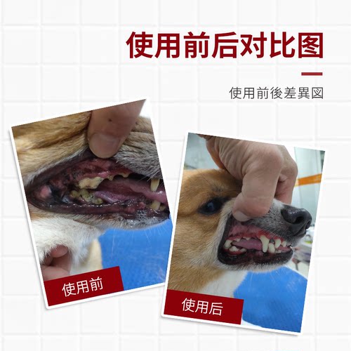 KOJIMA宠物去牙结石刮刀美牙笔狗狗清洁口腔牙缝牙垢凝胶清洁工具 - 图1