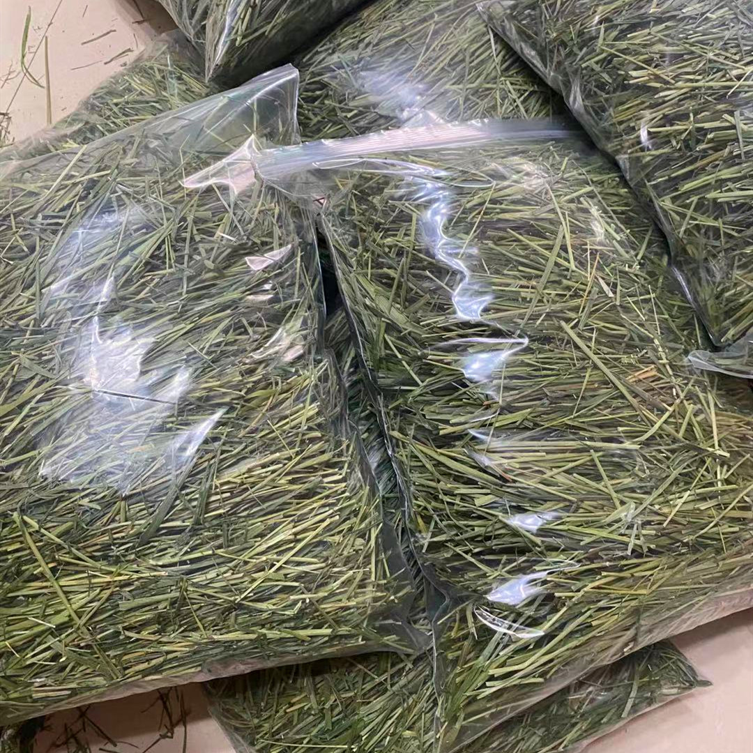 北提草杆提摩西草杆嫩杆磨牙多杆兔子豚鼠荷兰猪龙猫用500g包邮 - 图1