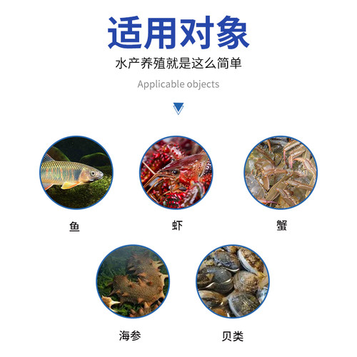 喜宠喜二氧化氯泡腾片族养殖水产除臭藻液杀菌剂家用外84井水消毒 - 图0