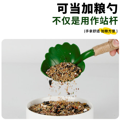 鹦鹉站杆栖息喂食器磨牙棒小太阳玄凤专用鸟站棍食盒树枝笼内造景 - 图1