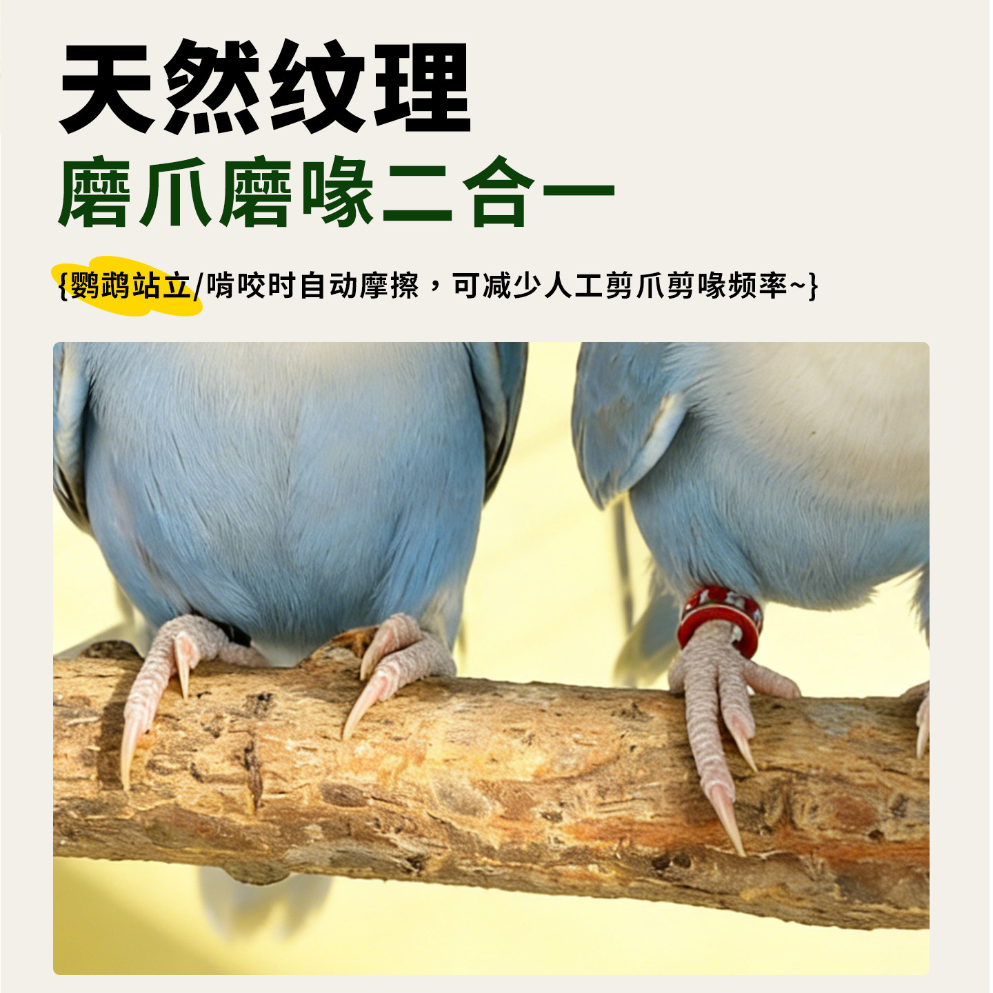 天然花椒木鹦鹉原木站杆虎皮牡丹专用站棍小鸟用品磨牙棒鸟笼配件,淘宝优惠券,粉丝福利购,淘宝优惠卷