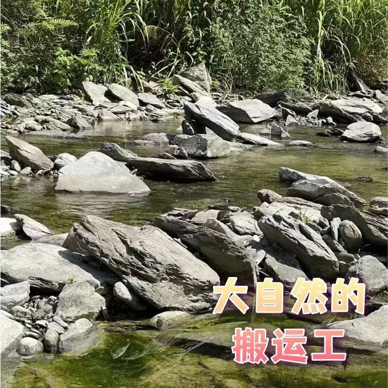 鱼缸造景石原生溪流石主石大块岩片石头底砂天然原石专用龟缸躲避