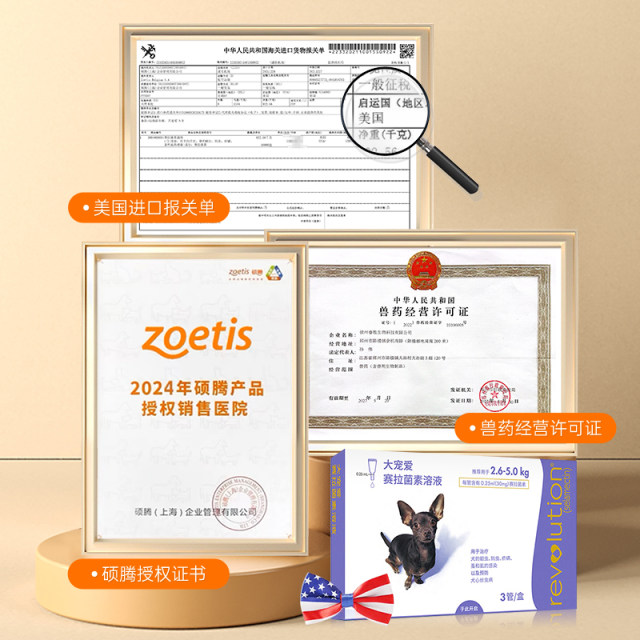 Big pampered dog inside and outside