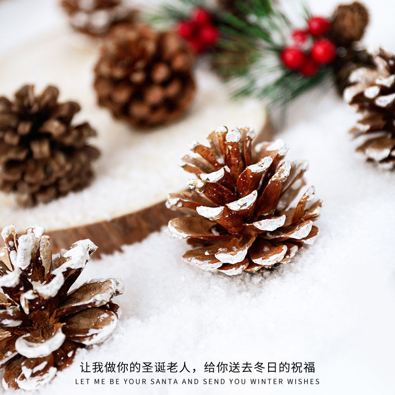 圣诞装饰品圣诞树装饰球小松果diy材料ins风场景布置创意摆件道具,淘宝优惠券,粉丝福利购,淘宝优惠卷