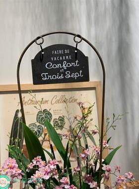 杂货店拱形园艺插花锻铁插入标签旧悬挂地面花园小插入肉锅装饰