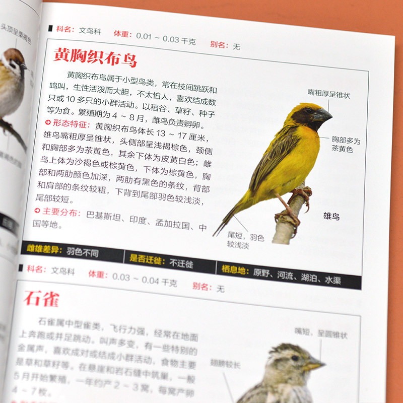鸟图鉴轻松了解410种鸟类的特征与习性爱好者收藏实用科学图鉴鸟百科鉴赏大全儿童青少年成人拓展阅读自然科普工具正版书籍_虎窝淘