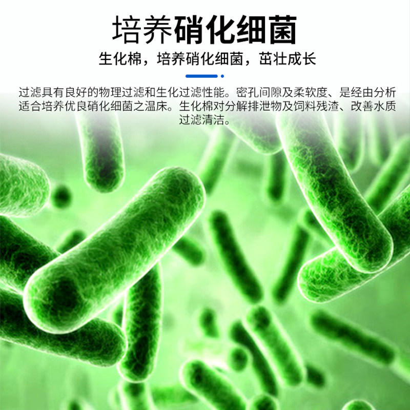 鱼缸生化棉过滤棉高密度黑海绵水族箱净水滤材除臭除腥耐清洗鱼池,淘宝优惠券,粉丝福利购,淘宝优惠卷