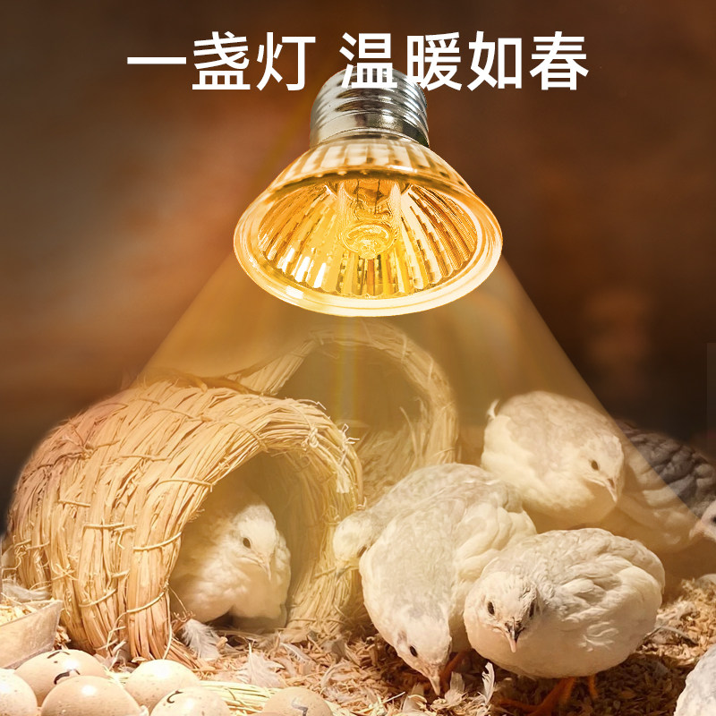 芦丁鸡保温灯小鸡育雏取暖灯宠物冬季加热温控器过冬神器恒温保暖,淘宝优惠券,粉丝福利购,淘宝优惠卷