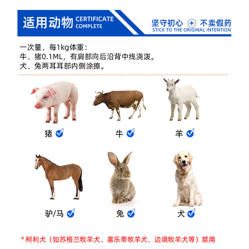 驱虫药兽用阿维菌素透皮溶液猪牛狗狗体内外驱虫打虫用兽药正品 - 图1