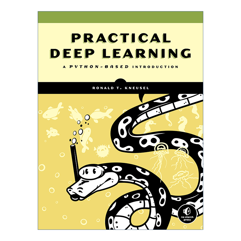 英文原版 Practical Deep Learning 实用的深度学习 基于python的介绍 计算机编程 Ronald T. Kneusel 英文版 进口英语原版书籍