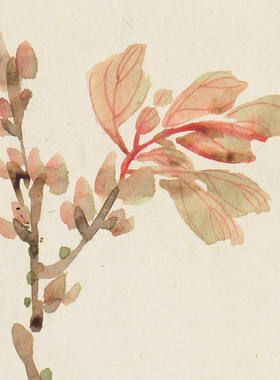 慈禧花卉四条屏高清微喷清代宫廷花鸟画临摹绢布画稿没骨花鸟范本