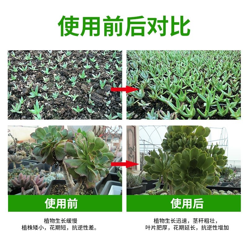 改善花卉营养液专用黄瓜营花盆叶绿素喷雾通用型园艺植物水植僵苗 - 图0