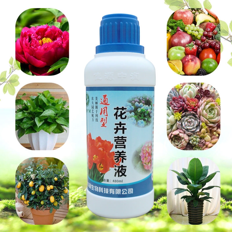 肥家庭蔬菜植物营养液黄瓜养通用促芽土培HB-101家用水养水 - 图1