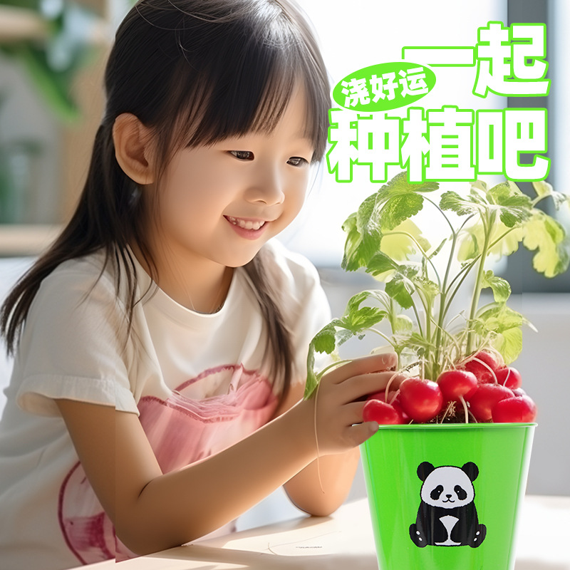 小花农儿童植物观察学生趣味种植小盆栽桌面摆件幼儿园学生礼品-图2