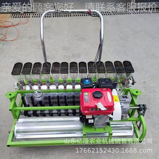 Hand-pushed six green vegetable spreader fragrant machine pineapple vegetable seeds yellow and white essence perilla on demand